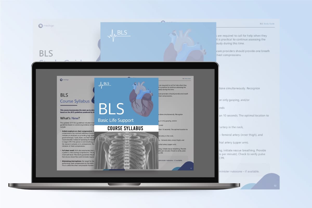 Basic Life Support (BLS) (Basic) - Image 2